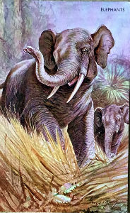 Cartes · Miniatres pour traims du zoo Hagenbeck