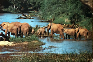 Cartes · Cartes postales Afrique