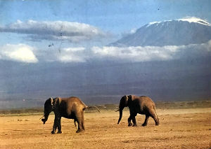 Cartes · Cartes postales Afrique
