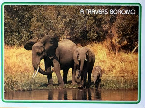 Cartes · Cartes postales Afrique