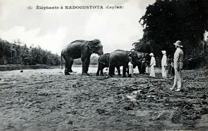 Cartes · Cartes postales Asie