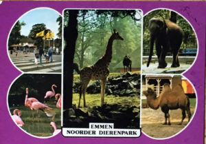 Cartes · Cartes postales Asie