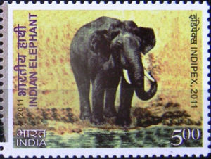 Timbres · Inde