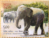 Timbres · Inde