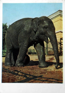 Cartes · Cartes postales Asie - Cambodge, Inde, Laos, Sri Lanka