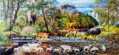 Timbres · Inde