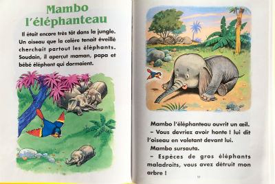 Livres · Romans - Fantaisie - EN Francais