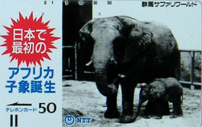 Cartes · Japon