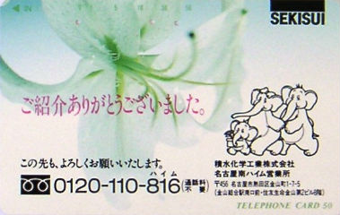 Cartes · Japon