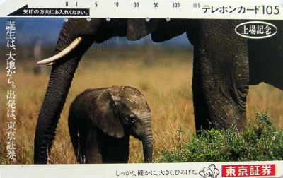 Cartes · Japon
