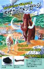 Cartes · Japon NTT