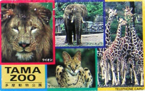 Cartes · Japon NTT