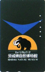 Cartes · Japon NTT