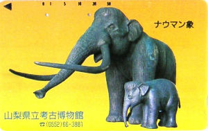 Cartes · Japon NTT