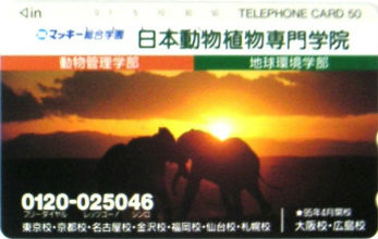 Cartes · Japon