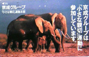 Cartes · Japon