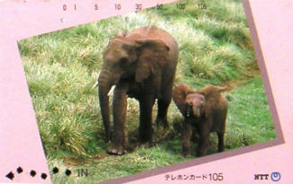 Cartes · Japon