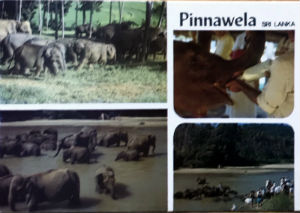 Cartes · Cartes postales Asie