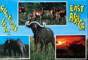 Cartes · Cartes postales Afrique