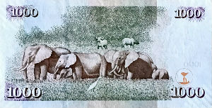 Billets · Kenya