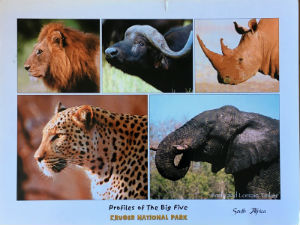 Cartes · Cartes postales Afrique