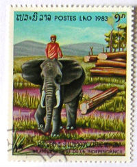 Timbres · Laos