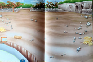 Livres