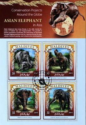 Timbres