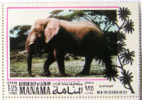Timbres · Manama