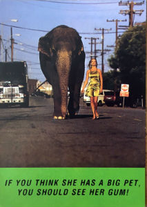 Cartes · Cartes postales Asie - Éléphants d'Asie