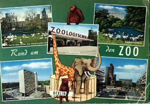 Cartes · Cartes postales Afrique