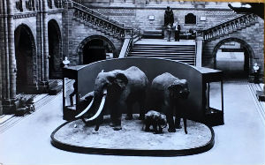 Cartes · Cartes postales Monuments