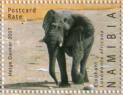 Timbres · Namibie