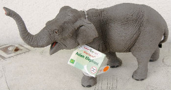 Jouets · Ou sans marque