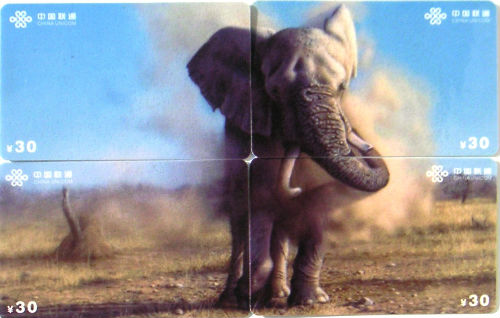 Cartes · Puzzle