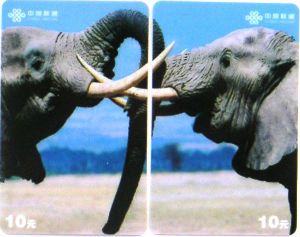 Cartes · Puzzle