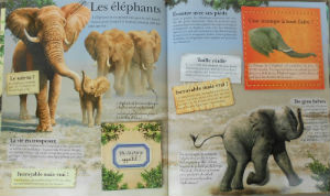 Livres · Romans - Fantaisie - EN Francais