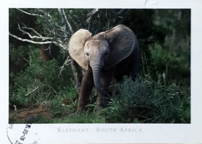 Cartes · Cartes postales Afrique