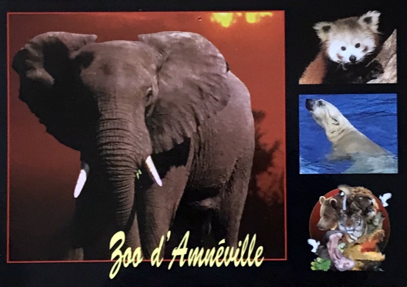 Cartes · Cartes postales Afrique