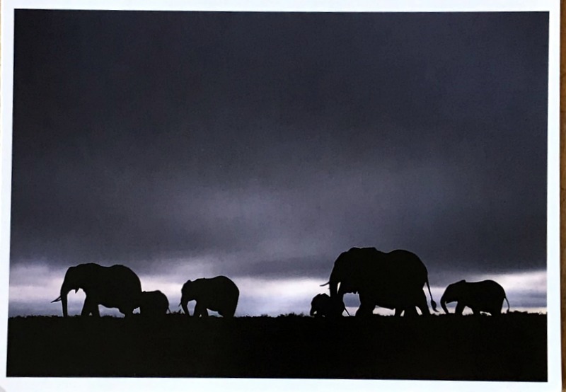 Cartes · Cartes postales Afrique