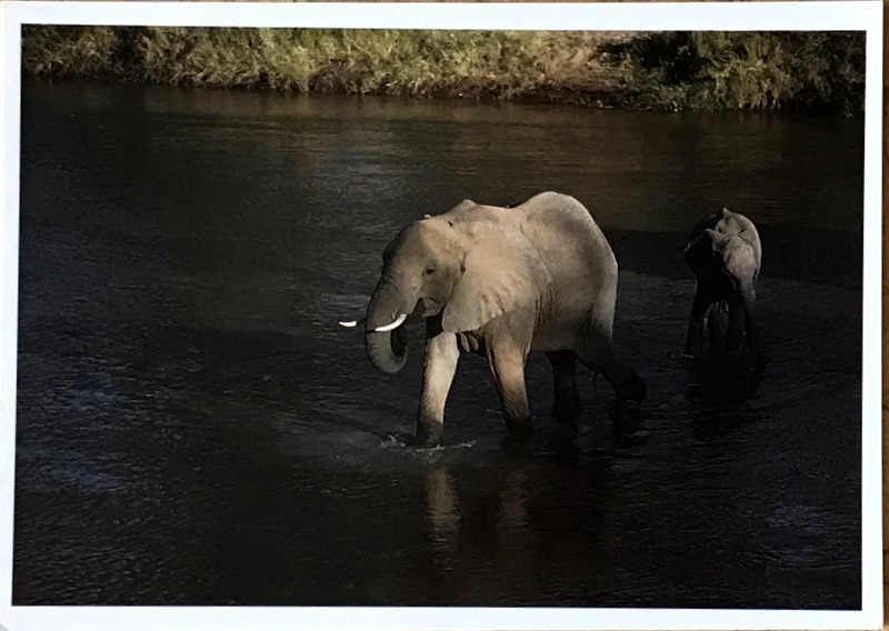 Cartes · Cartes postales Afrique