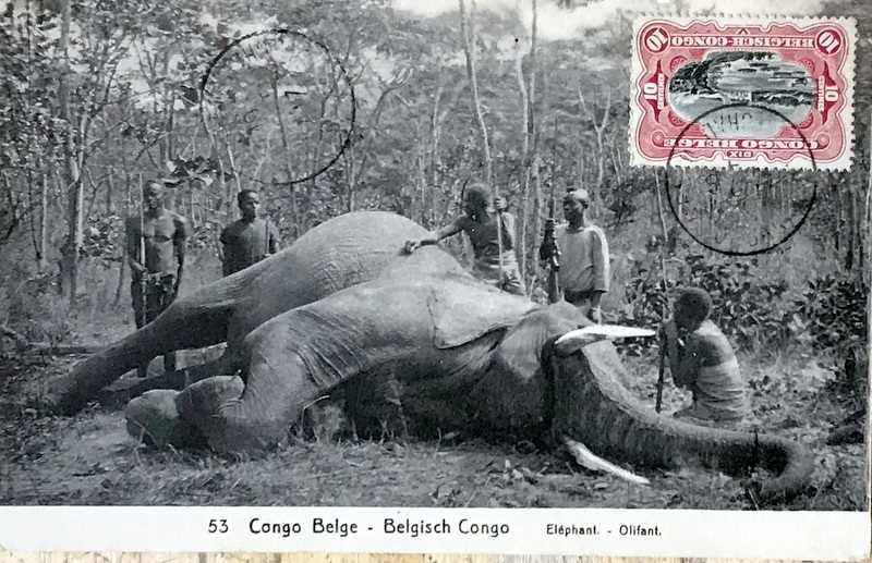 Cartes · Cartes postales Afrique