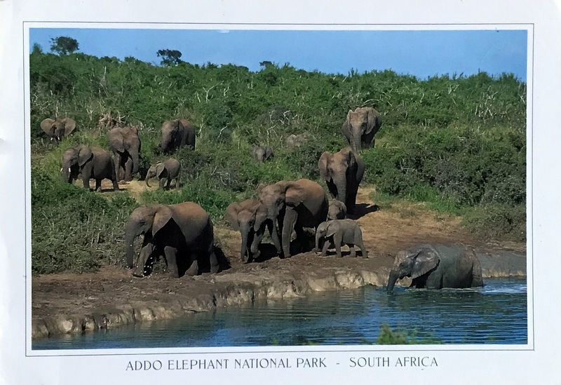 Cartes · Cartes postales Afrique