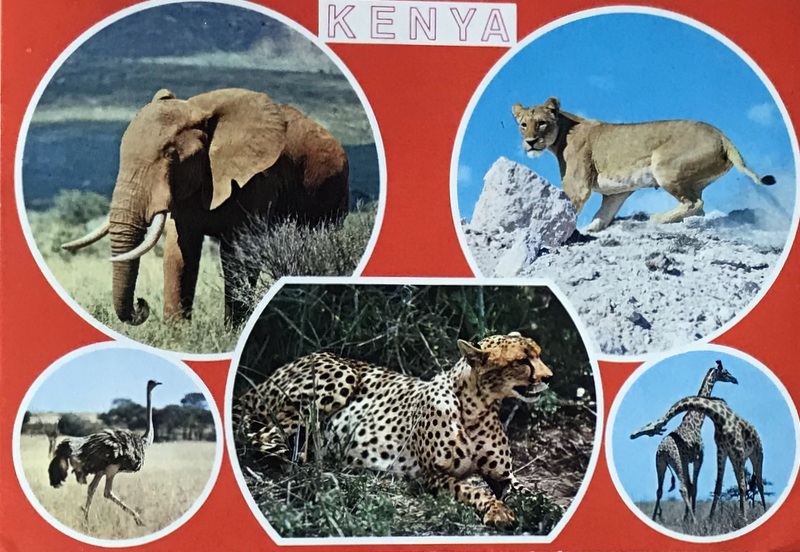 Cartes · Cartes postales Afrique