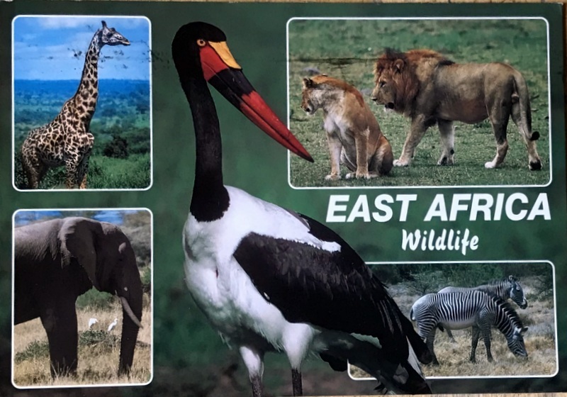 Cartes · Cartes postales Afrique