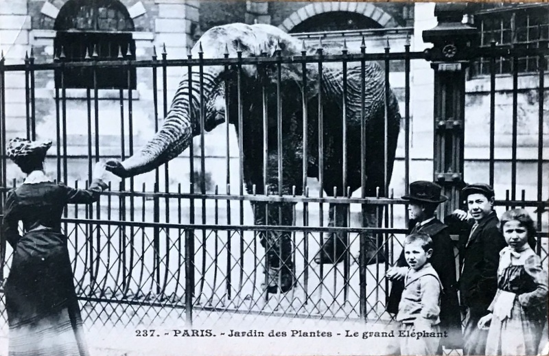 Cartes · Cartes postales Afrique