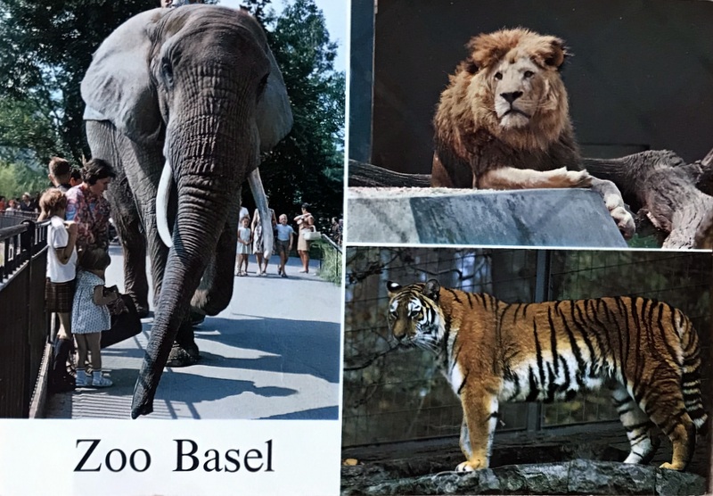 Cartes · Cartes postales Afrique