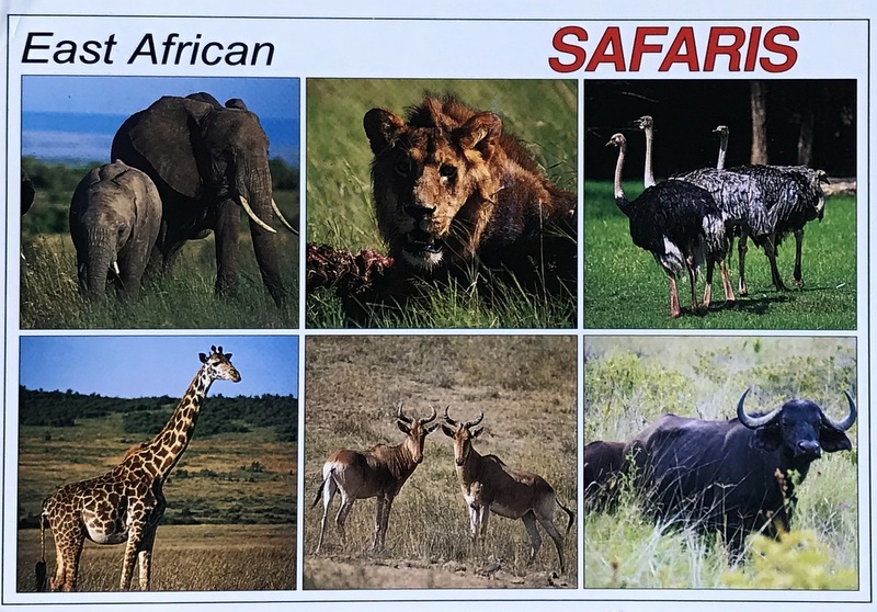 Cartes · Cartes postales Afrique