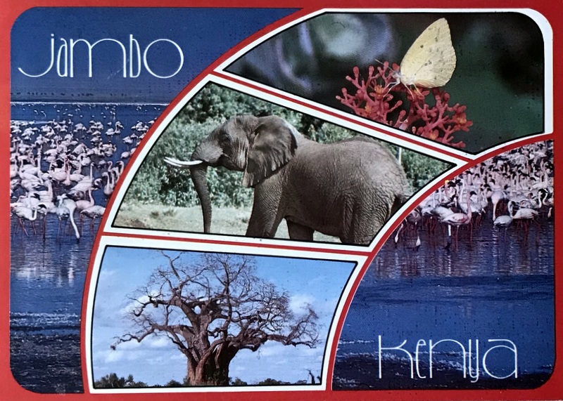 Cartes · Cartes postales Afrique