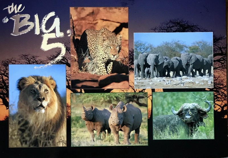 Cartes · Cartes postales Afrique